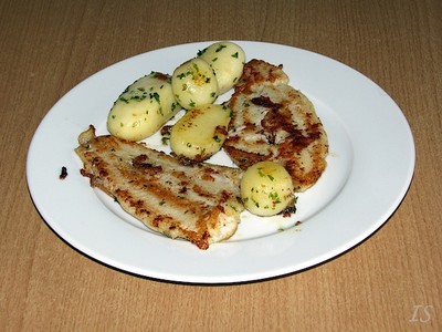 Pangasiusfilet   Rezept