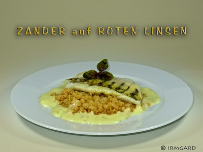 Zander mit roten Linsen Rezept