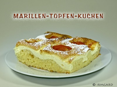 Marillen-Topfen-Kuchen Rezept