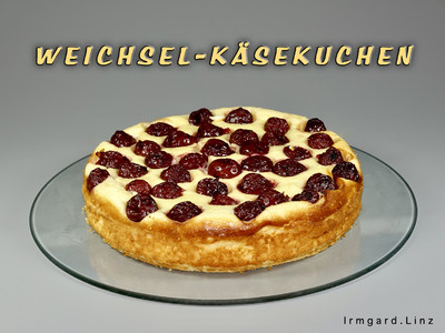 Weichsel-Käsekuchen Rezept