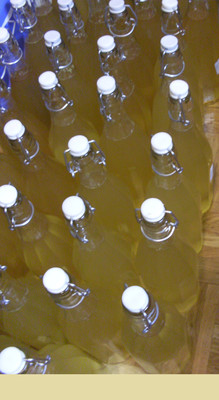 Holunderblüten - Sirup / Variante 3 Rezept