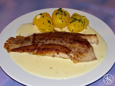 Welsfilet auf Zwiebelschaum Rezept