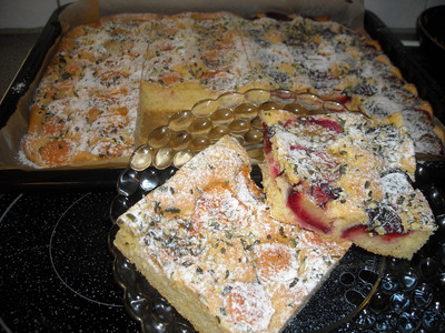 Obst - Blechkuchen Rezept