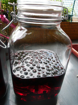 Aronia - Schnaps Rezept