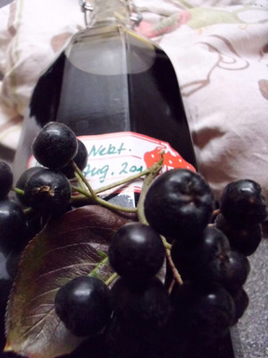 Aronia- Nektarinensaft Rezept