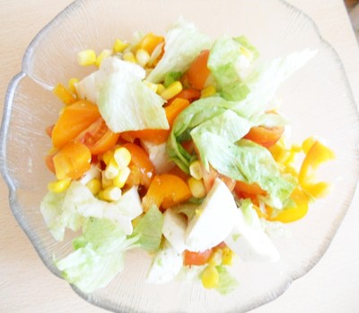 Gemischter Salat mit Mozzarella Rezept