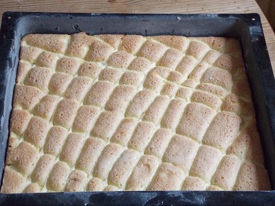 topfengitterkuchen Rezept