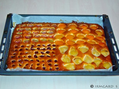 Blechkuchen Quattro Stagioni Rezept