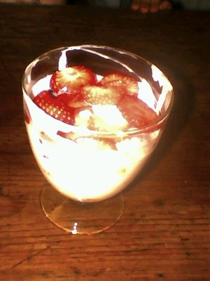 Erdbeer Früchte Joghurt Rezept