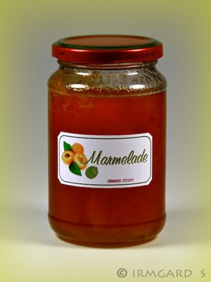 Marillen-Limetten-Marmelade Rezept