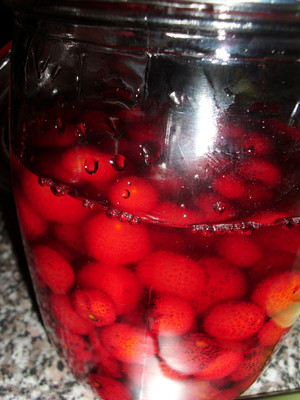 Schnaps von den Früchten des Erdbeerbaumes Rezept