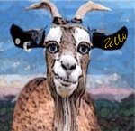 Profile picture for user essigmutter