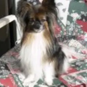 Roberta