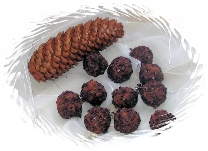 Italienische Trüffel