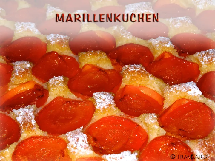 Marillenkuchen