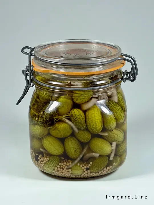 Sauer eingelegte Mexikanische Minigurken 