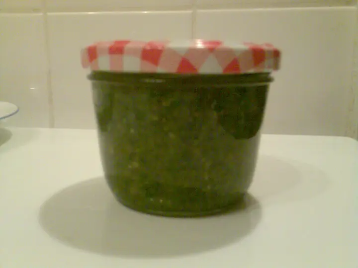 Herbst-Pesto (Ein letztes mal das Kräuterbeet geplündert, bevor der Frost zuschlägt)