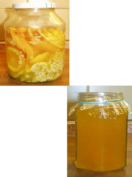 Gelee von Holunderblüten