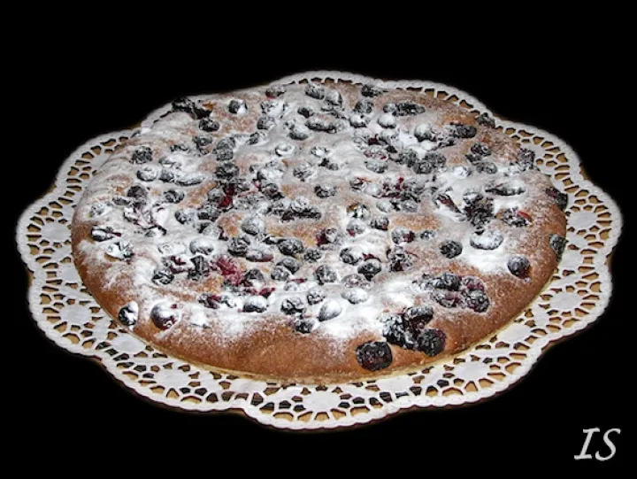 Cranberrykuchen