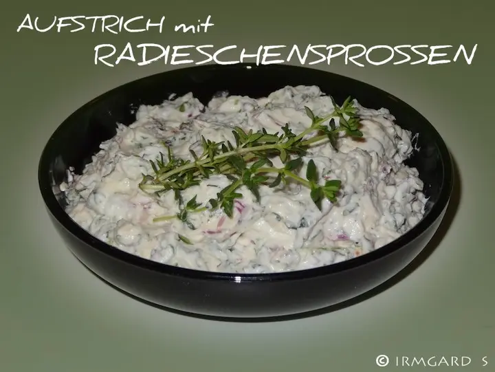 Aufstrich mit Radieschensprossen