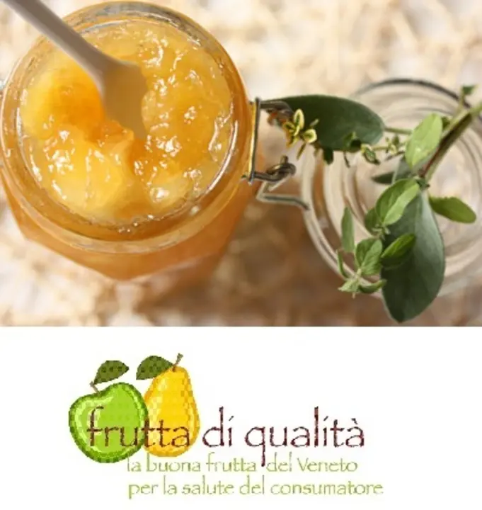 Apfel Marmelade mit Salbei und Minze