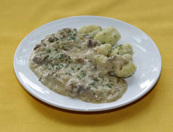 Eierschwammerlragout