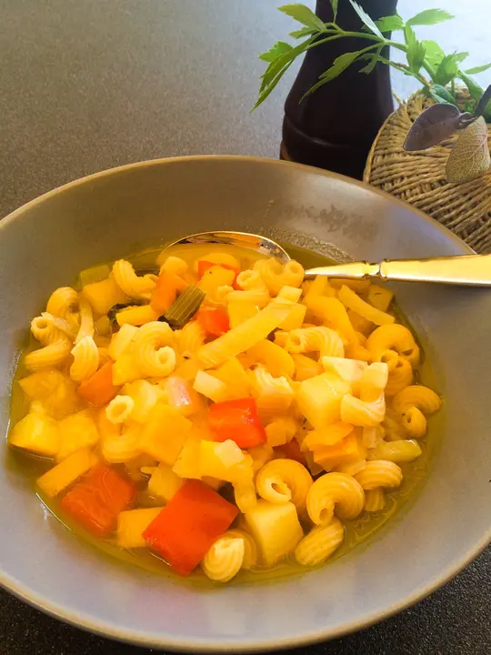 Bunter Gemüse- Nudel Topf 