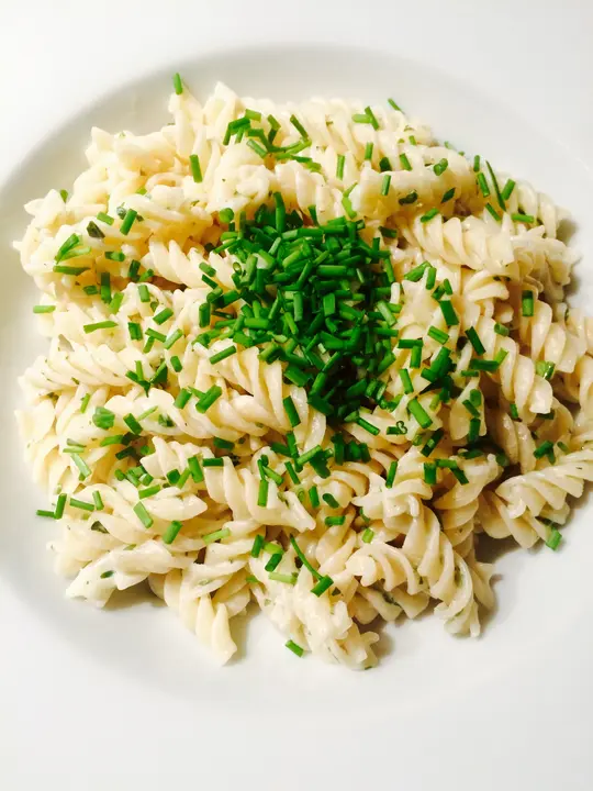 Nudeln mit würziger Käsesauce