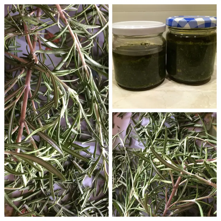 Rosmarin-Pesto