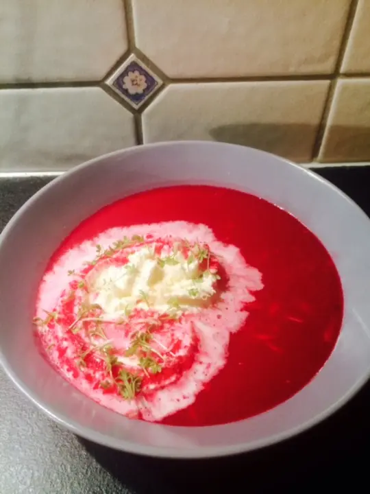 Rote Rüben Suppe mit Apfel