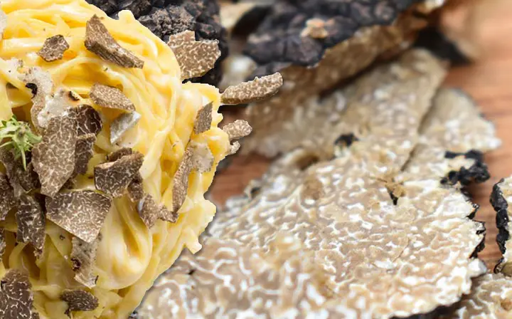 Pasta mit frischen Trüffeln