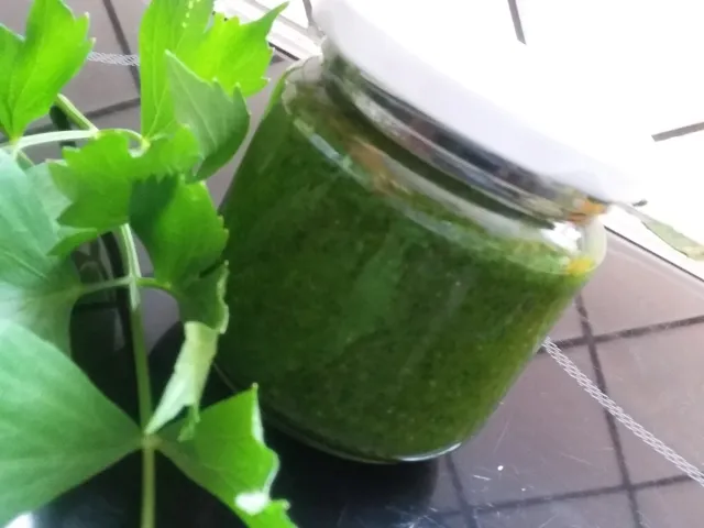 Liebstockpesto