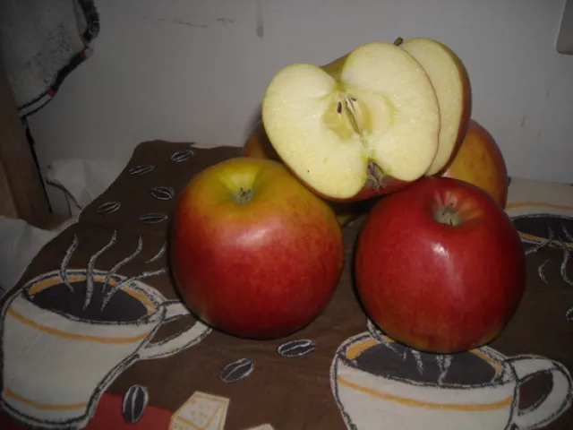 Mandel - Apfel - Gugelhupf