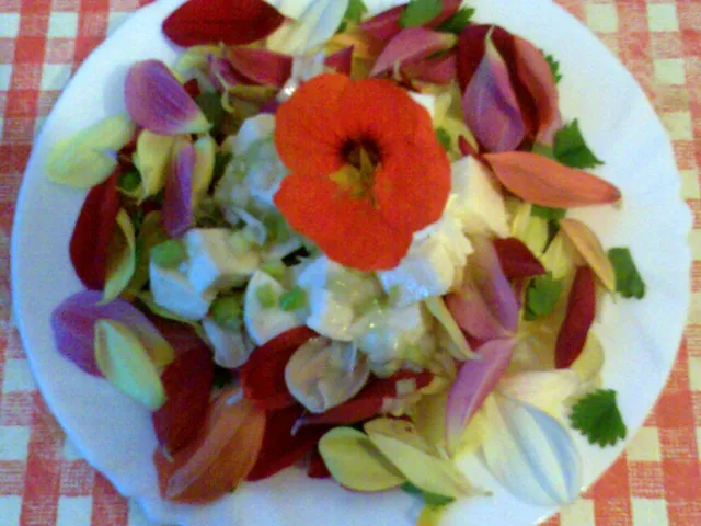 Dahliensalat mit Mozzarella