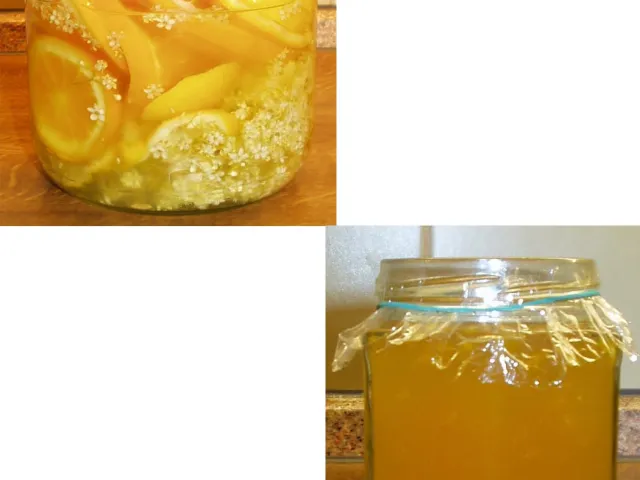 Gelee von Holunderblüten