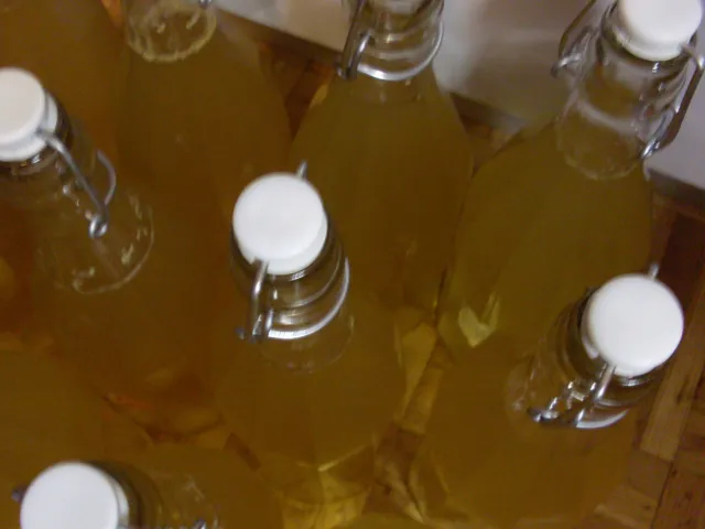 Holunderblüten - Sirup / Variante 2