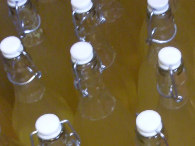 Holunderblüten - Sirup / Variante 4