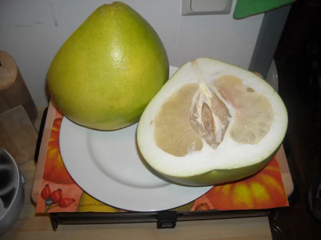 Pomelo - Gelee