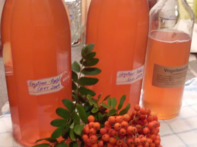 Vogelbeer - Apfelsirup