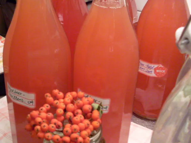 Vogelbeer - Marillensirup