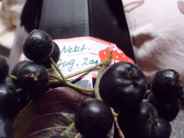 Aronia- Nektarinensaft