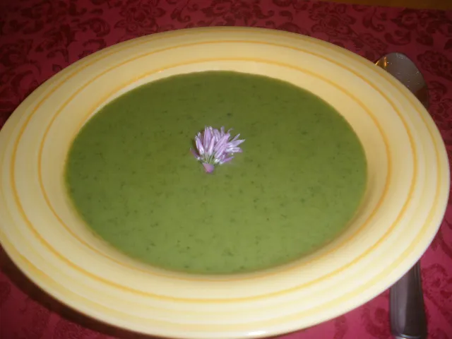 Bärlauch - Creme - Süppchen