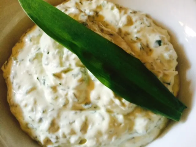 Bärlauchtopfen mit Nüsse