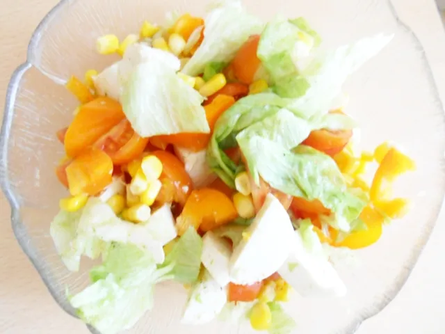 Gemischter Salat mit Mozzarella