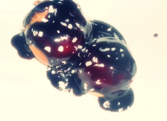 Brandteigkrapferl mit Topfen-Oberscreme