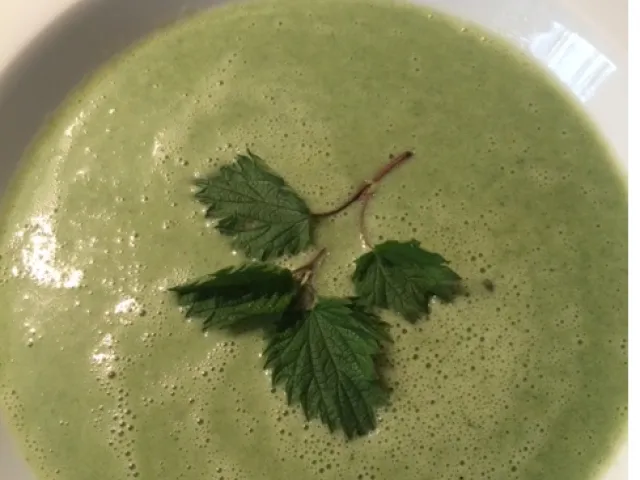 Brennessel Suppe