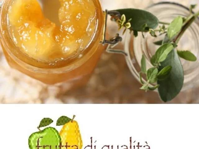 Apfel Marmelade mit Salbei und Minze