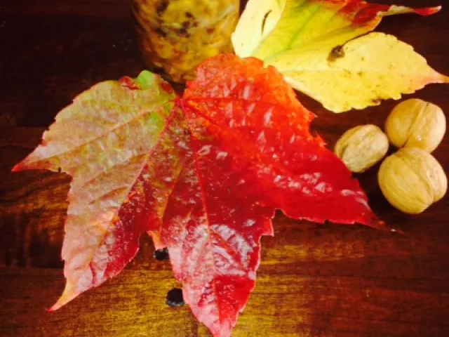 Eingelegte Eierschwammerl