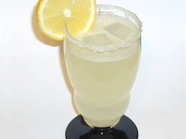 Gin Fizz