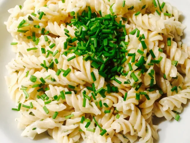 Nudeln mit würziger Käsesauce